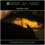 NARAVA 2013